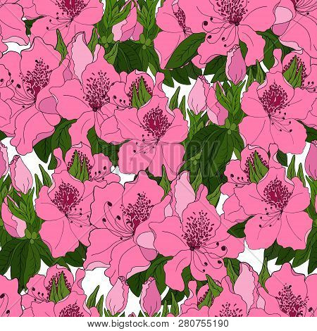 Seamless Pattern With Exotic Pink Azalea Flowers And Bright Green Foliage On White Bono. Vector Illu