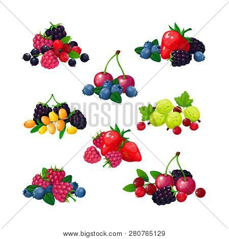 Fresh Summer Berries. Piles Of Raspberry Currant Strawberry Gooseberry Blackberry Cranberry Blueberr