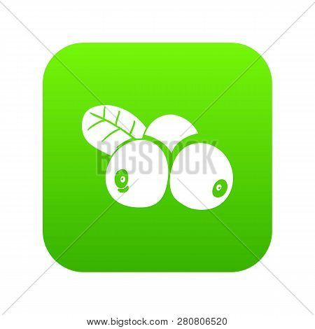 Lingonberry Icon Green Isolated On White Background