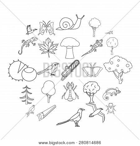 Arboraceous Icons Set. Outline Set Of 25 Arboraceous Icons For Web Isolated On White Background
