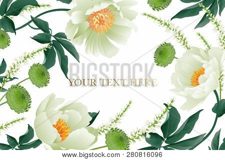 Floral Card Luxury Pattern Delicate Pastel White Garden Aster Peonies White Background Flora Vintage