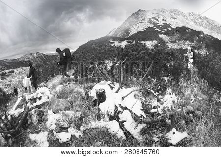 Harm From Tourists In The Carpathians