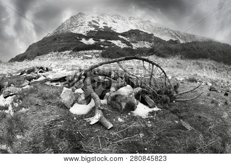 Harm From Tourists In The Carpathians