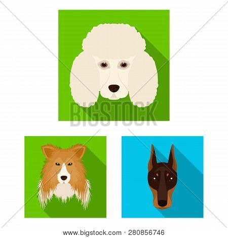 Vector Illustration Of Cute And Puppy Sign. Collection Of Cute And Animal Stock Vector Illustration.