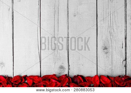 Background, The Composition Of The Petals To The Day Of St. Valentine