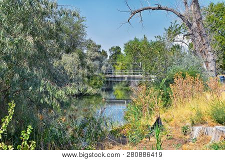 Views Of Jordan River Trail Pedestrian And Train Track Bridge With Surrounding Trees, Russian Olive,