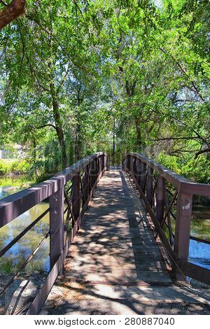 Views Of Jordan River Trail Pedestrian And Train Track Bridge With Surrounding Trees, Russian Olive,