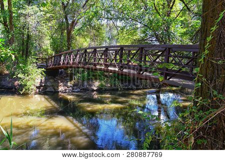 Views Of Jordan River Trail Pedestrian And Train Track Bridge With Surrounding Trees, Russian Olive,