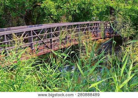 Views Of Jordan River Trail Pedestrian And Train Track Bridge With Surrounding Trees, Russian Olive,