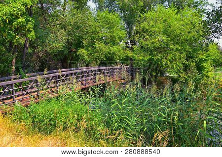 Views Of Jordan River Trail Pedestrian And Train Track Bridge With Surrounding Trees, Russian Olive,
