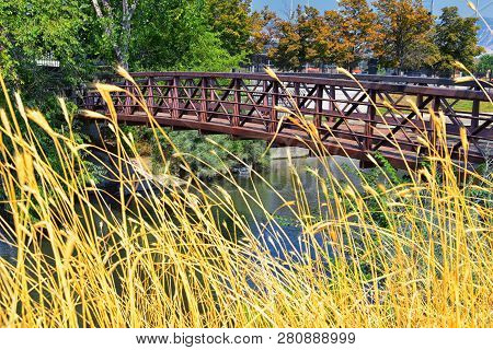 Views Of Jordan River Trail Pedestrian And Train Track Bridge With Surrounding Trees, Russian Olive,