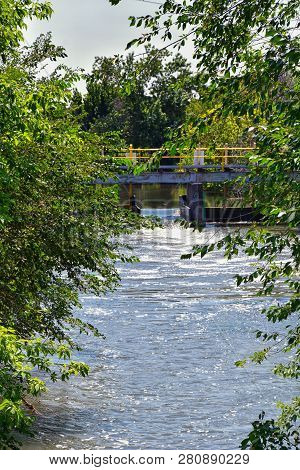 Views Of Jordan River Trail Pedestrian And Train Track Bridge With Surrounding Trees, Russian Olive,