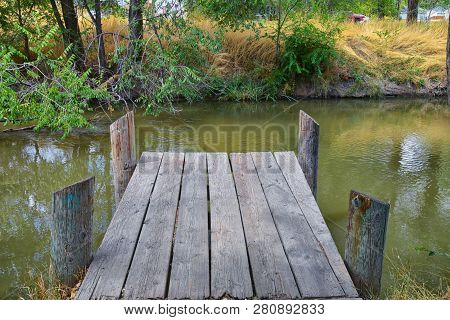 Views Of Jordan River Trail Pedestrian And Train Track Bridge With Surrounding Trees, Russian Olive,