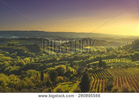 Panoramic View Of Countryside And Chianti Vernaccia Vineyards From San Gimignano On Sunrise. Tuscany