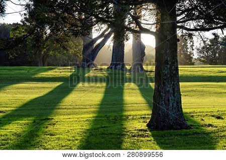 Golf Course In Mt Roskill, Auckland, New Zealand