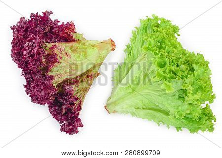 Fresh Red Coral And Green Salad Or Lettuce Isolated On The White Background. Top View. Flat Lay