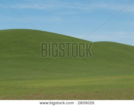 Colline di pastello