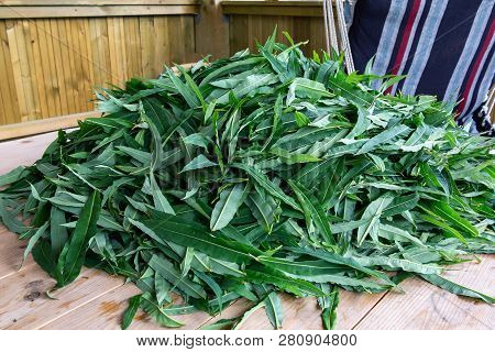 Blooming Sally Leaves - Raw Materials For Making Traditional Russian Koporsky Tea Also Known As Ivan
