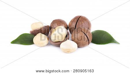 Macadamia Nuts With Leaves, Isolated On White Background. Shelled And Unshelled Macadamia.