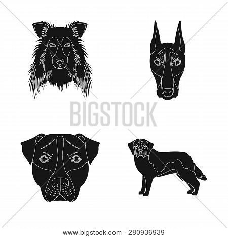 Vector Illustration Of Cute And Puppy Icon. Set Of Cute And Animal Stock Vector Illustration.