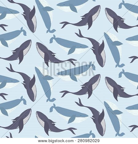 Tender Marine Blue Seamless Pattern With Light And Dark Hand Drawn Whales On Sea Background. Cute Ha