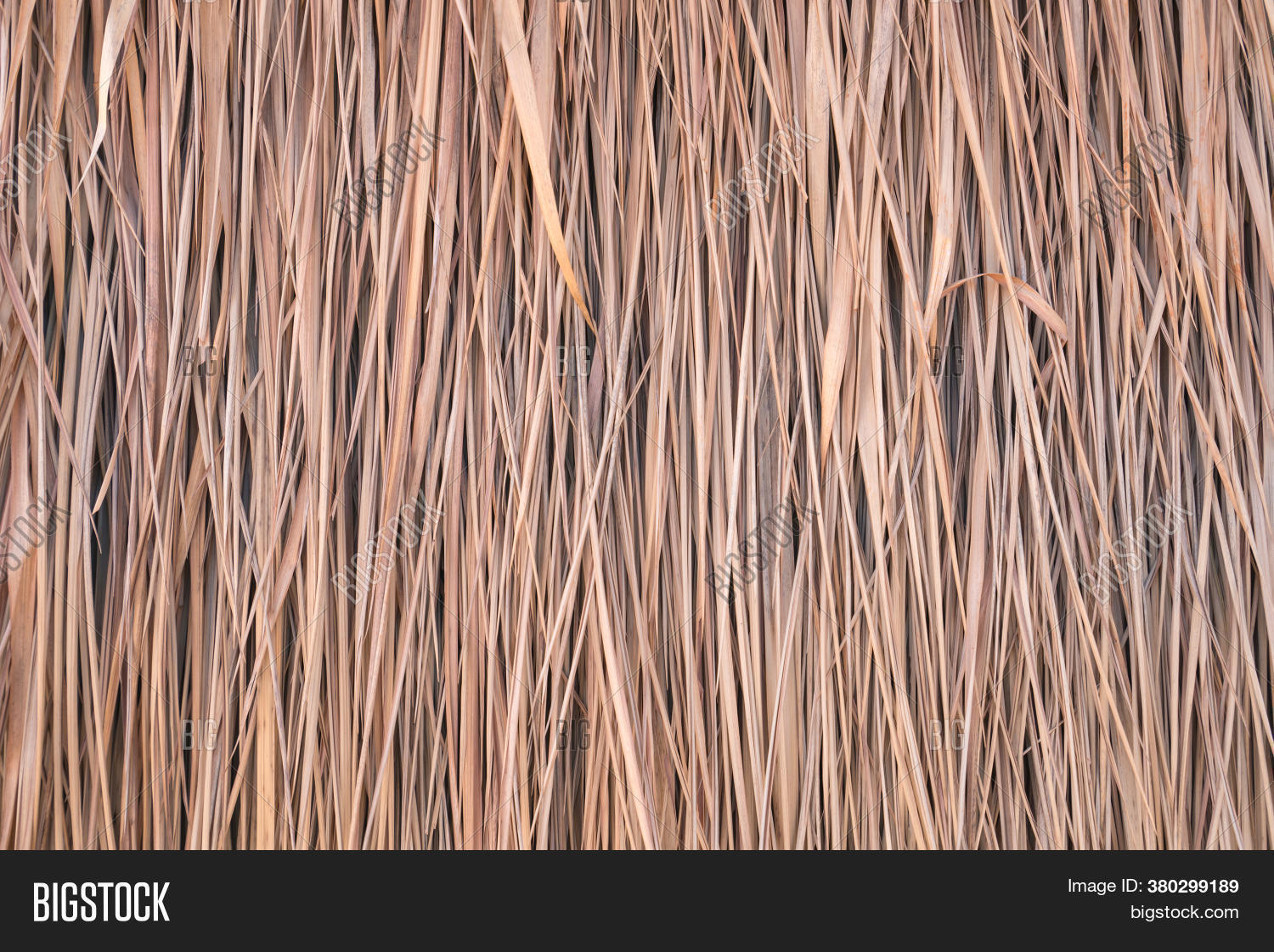 Thatch Roof Background Image & Photo (Free Trial) | Bigstock
