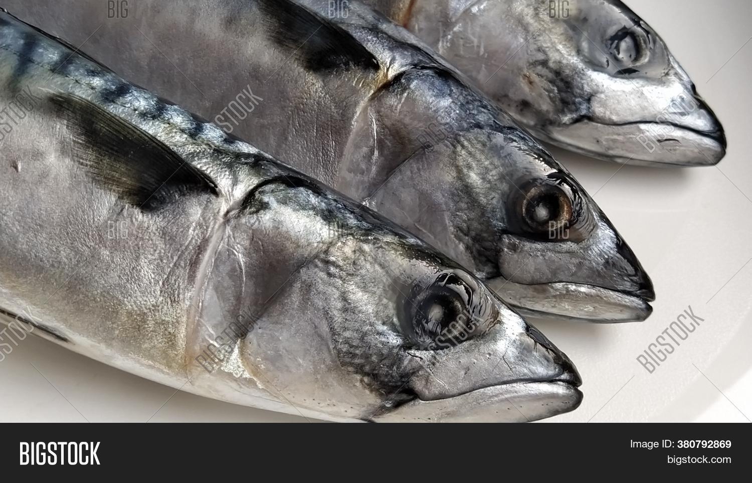Fresh Fish Heads On Image & Photo (Free Trial) Bigstock