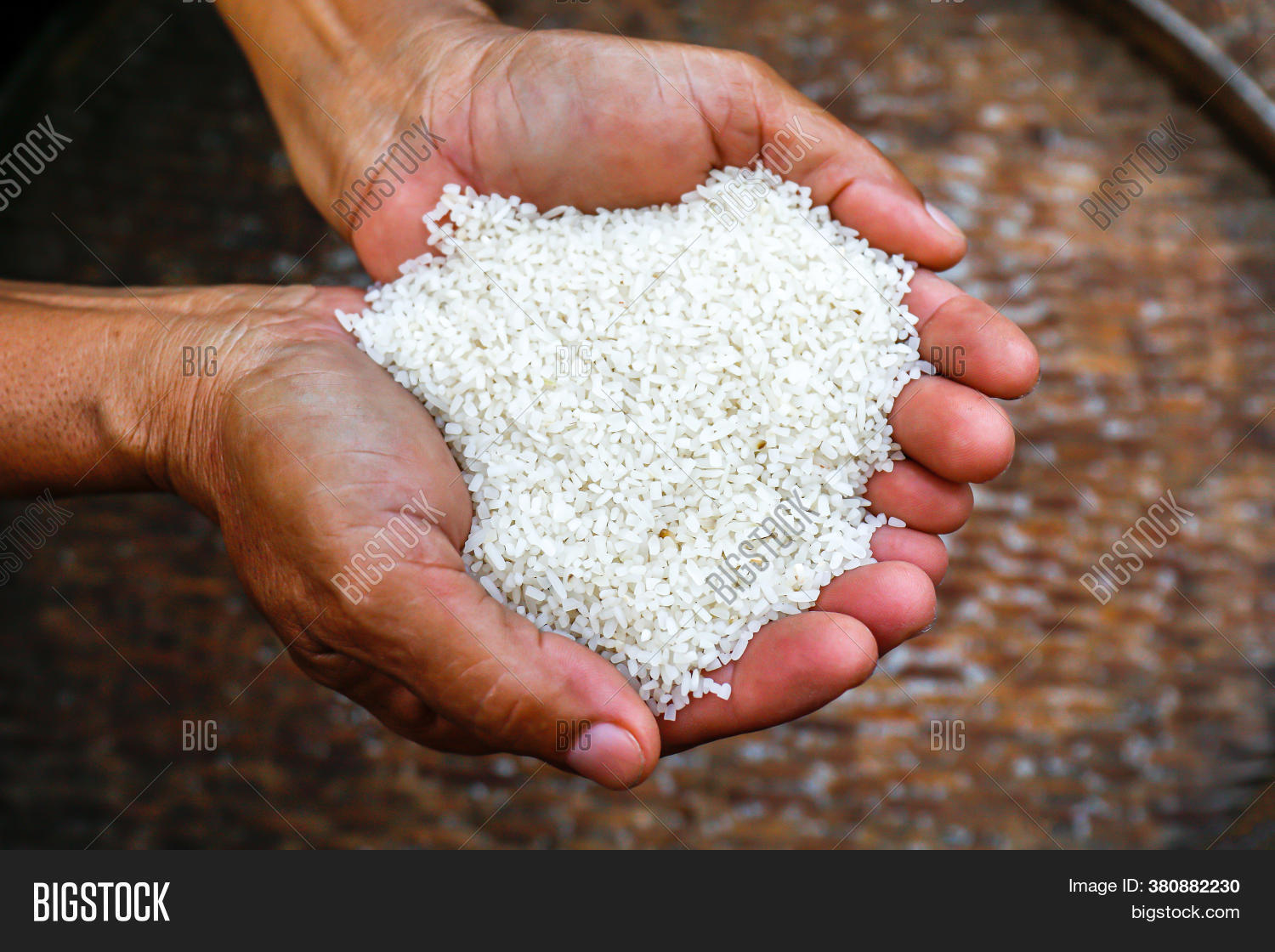 HD Wallpaper Person Holding Grain Of Rice, Hand, Figure,, 56 OFF