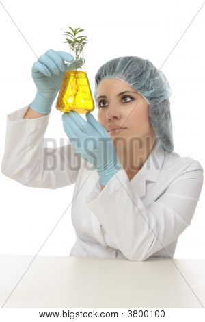 Bilim adamı botanikçi