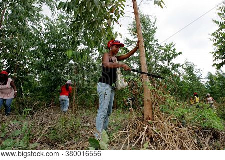 Eunapolis, Bahia / Brazil - February 28, 2011: Women Who Are Part Of The Landless Movement - Mst - A