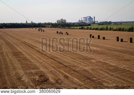 Bales Of Straw Stand In A Row On A Field Ready For Removal.