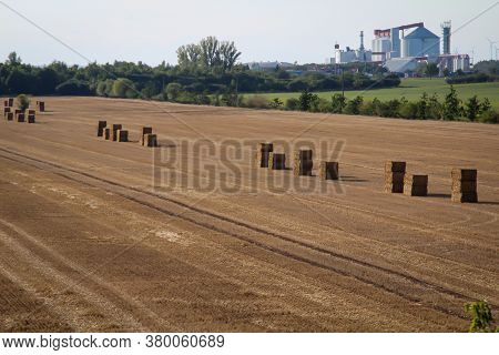 Bales Of Straw Stand In A Row On A Field Ready For Removal.