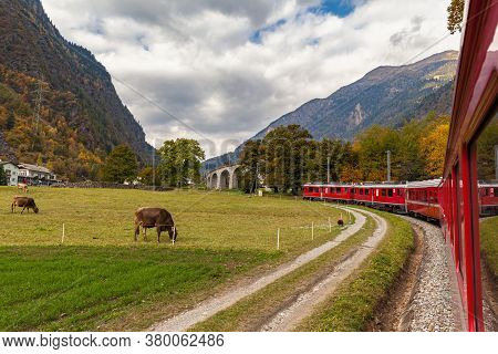 Beautiful View Of Red Rhaetian Train Running Towards Brusio Spiral Viaduct In Autumn With Blue Sky C