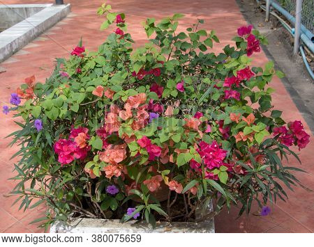 Landscape Design Of Nice Home Garden, Landscaping With Retaining