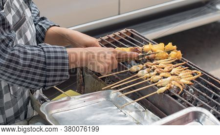 Squid With Wood Plug, Prepared For Barbecued