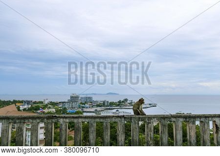 A Monkey Sitting On A Wall With A View Of The Sea And Sky Behind Khao Sam Muk In Chonburi Province I