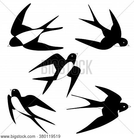 Martlet Pictures, Birds Flying, Vector Illustration, Isolate On A White Background