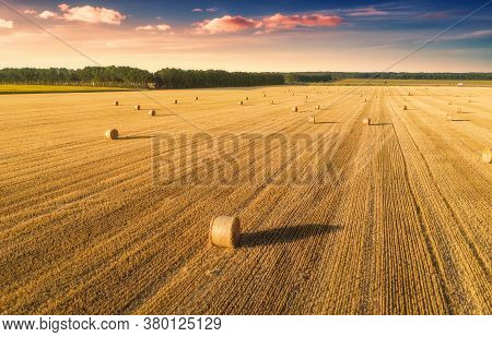 Aerial View Of Hay Bales At Sunset In Summer. Top View Of Hay Stacks. Agriculture. Field After Harve