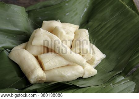 Tapai Or Tape Or Peuyeum Are Traditional Food Snack From Indonesia, Made From Fermented Cassava. Ser