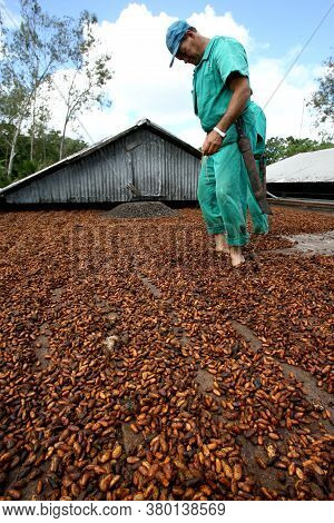 Ilheus, Bahia / Brazil - July 7, 2011: Employee Of A Cocoa Plantation Farm Are Seen On A Barge To Dr