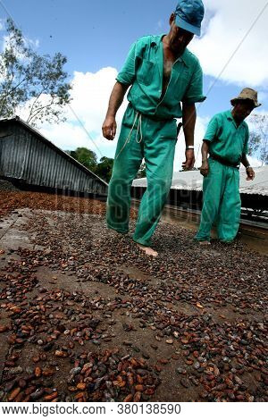Ilheus, Bahia / Brazil - July 7, 2011: Employee Of A Cocoa Plantation Farm Are Seen On A Barge To Dr