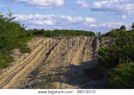 Sandy Road Tundra metsämaiseman aurinkoisena päivänä