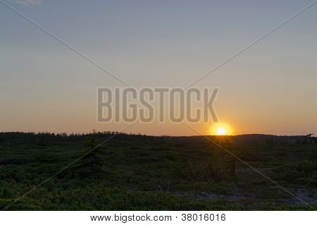 Poista Sunset Forest tundra-maisema