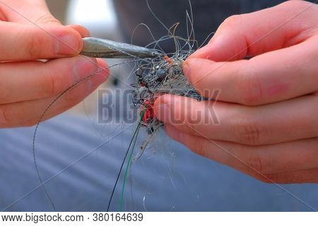 Man Untangles A Fishing Line And Hooks Preparing To Fishing, Hands Closeup. Fishing Equipment And To