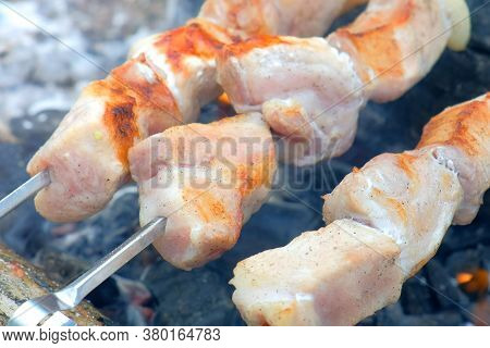 Close-up Of Roasted Shashlik On Skewers. Succulent Barbecue Roasting On Hot Coals On Bonfire Among F