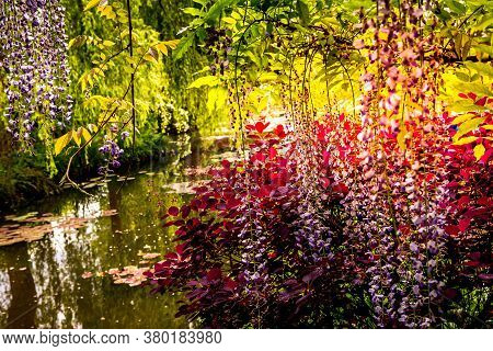 Gardens Of Painter Claude Monet In Giverny, France