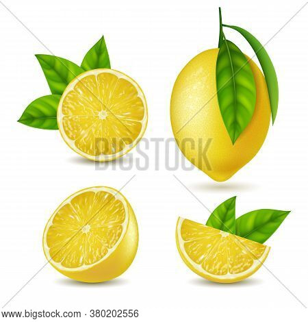 Realistic Detailed 3d Yellow Lemon Whole And Slices Set For Summer Srink. Vector Illustration Of Ing