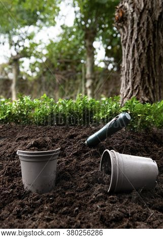 Gardening With Potting Compost  On An Alloment Or Small Holding  Copy Space For Text Overlay  B Lurr