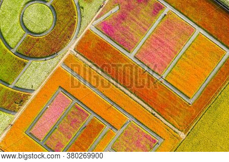 Daxi, Taiwan - November 14th, 2019: aerial view of garden in Daxi event of Taoyuan Flower Festival in Taoyuan, Taiwan, Asia