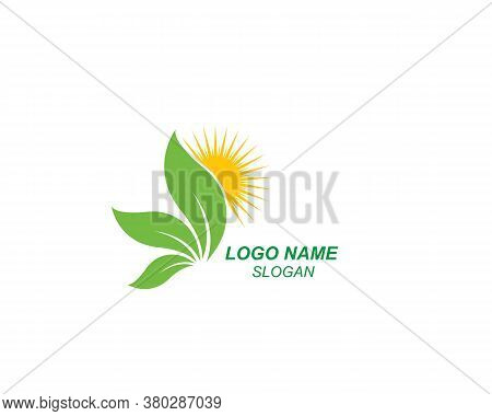 Logos Of Green Leaf Ecology Nature Element Vector Icon